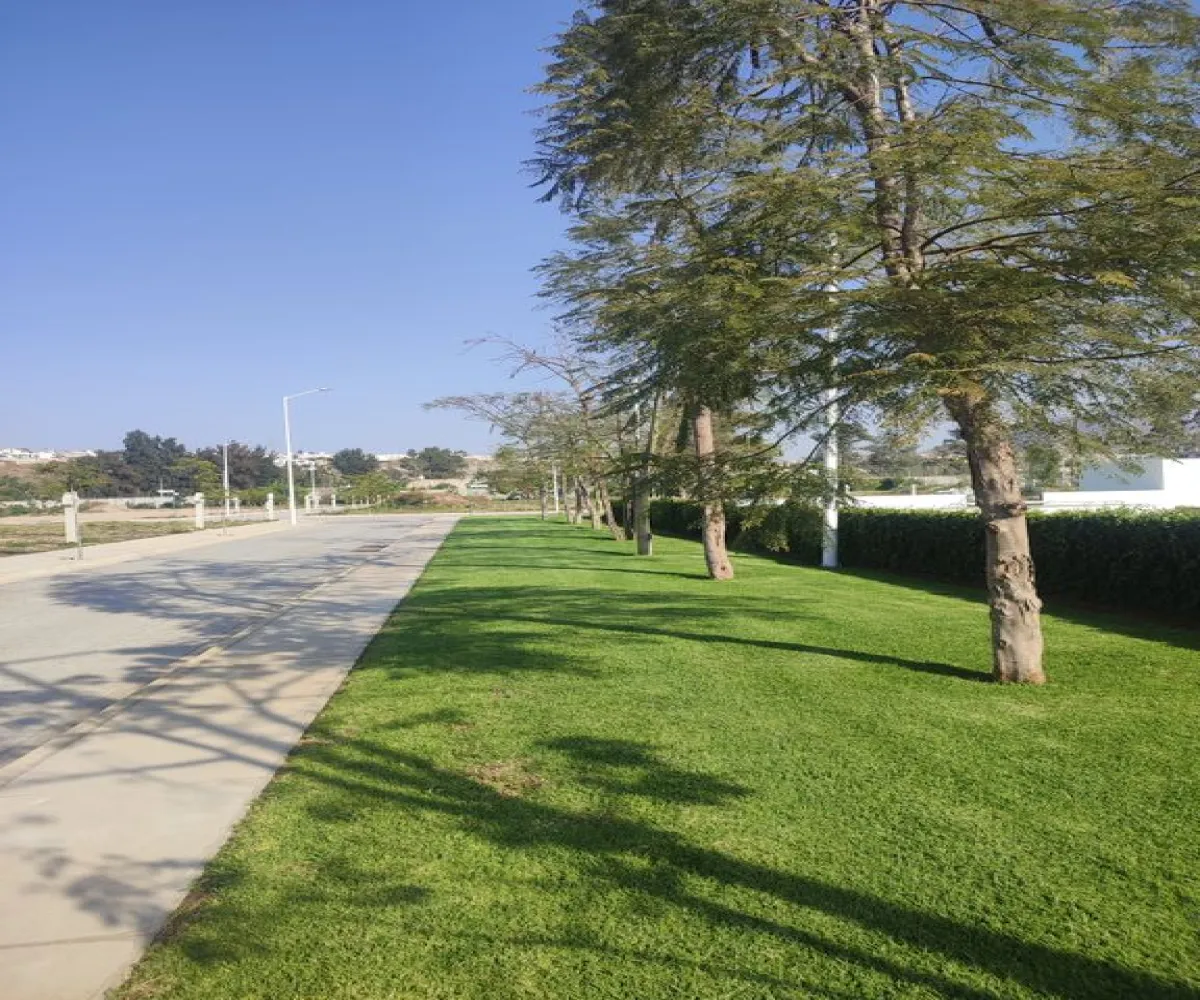 Terreno En Venta,San Agustín,Laguna de Chapala 40, Tlajomulco de Zúñiga, Jalisco 45650,Laguna de Chapala,plIEDzm