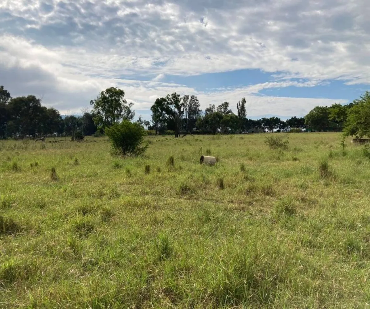 Terreno En Renta,Central Ciudad Guzmán,Miguel de La Madrid Hurtado S/N, Zapotlán el Grande, Jalisco 49032,Miguel de La Madrid Hurtado,pfPES8k