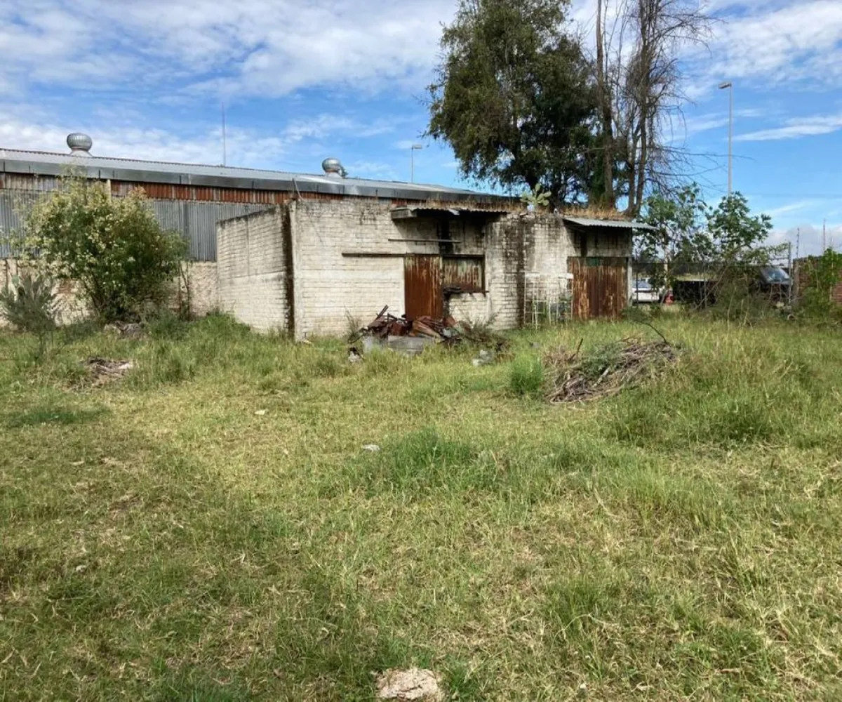 Terreno En Renta,Central Ciudad Guzmán,Miguel de La Madrid Hurtado S/N, Zapotlán el Grande, Jalisco 49032,Miguel de La Madrid Hurtado,pfPES8k