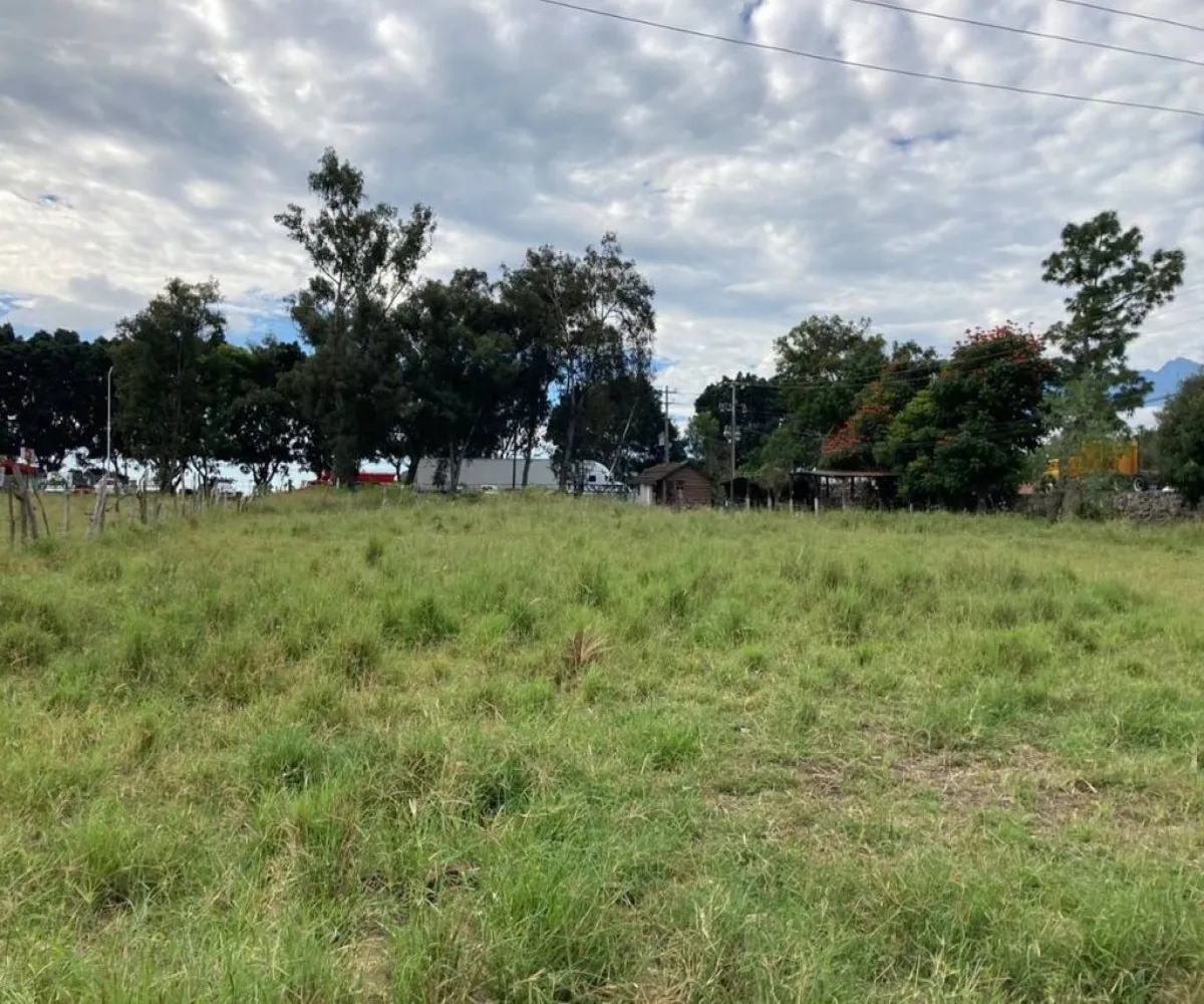 Terreno En Renta,Central Ciudad Guzmán,Miguel de La Madrid Hurtado S/N, Zapotlán el Grande, Jalisco 49032,Miguel de La Madrid Hurtado,pfPES8k