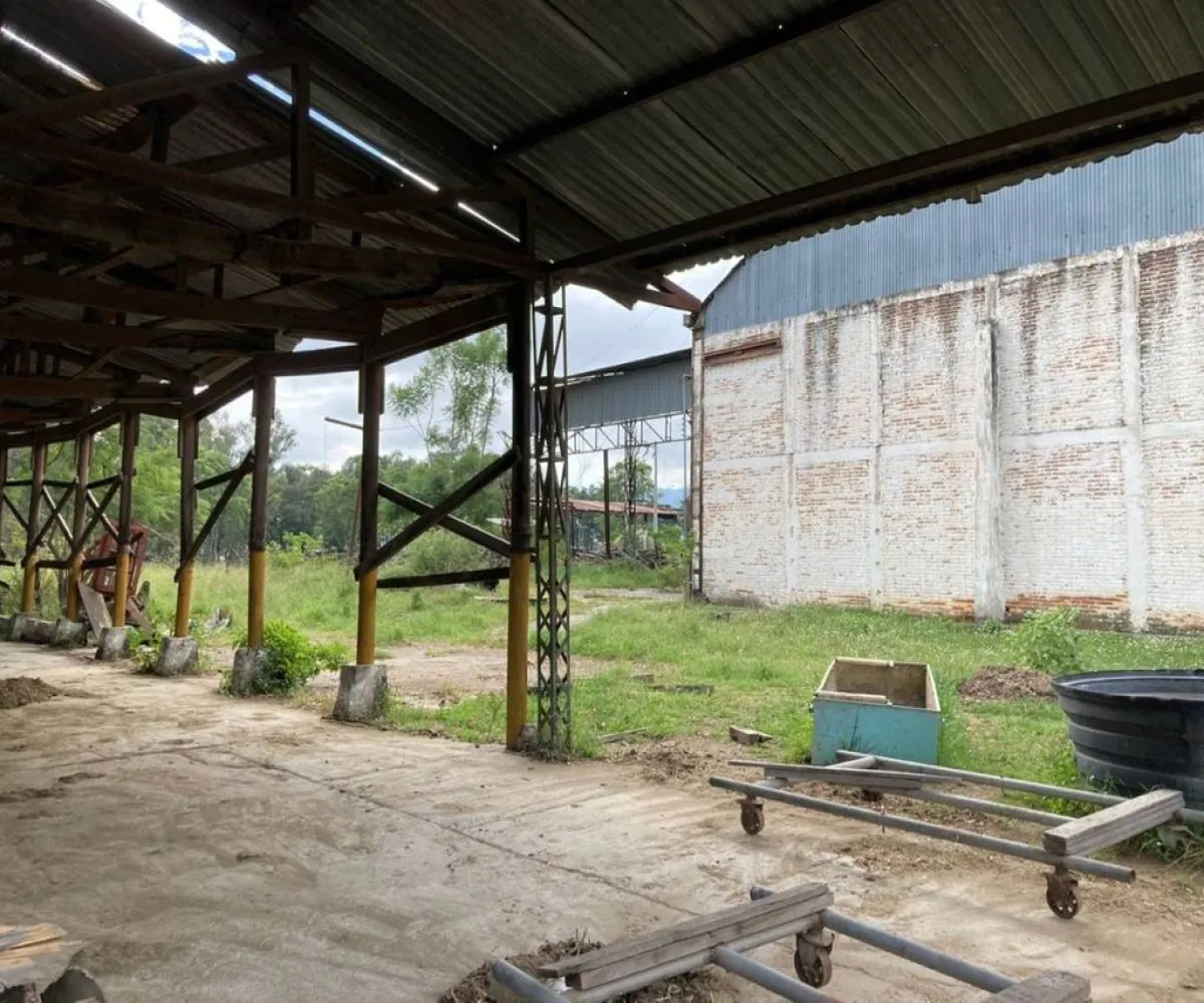 Terreno En Renta,Central Ciudad Guzmán,Miguel de La Madrid Hurtado S/N, Zapotlán el Grande, Jalisco 49032,Miguel de La Madrid Hurtado,pfPES8k