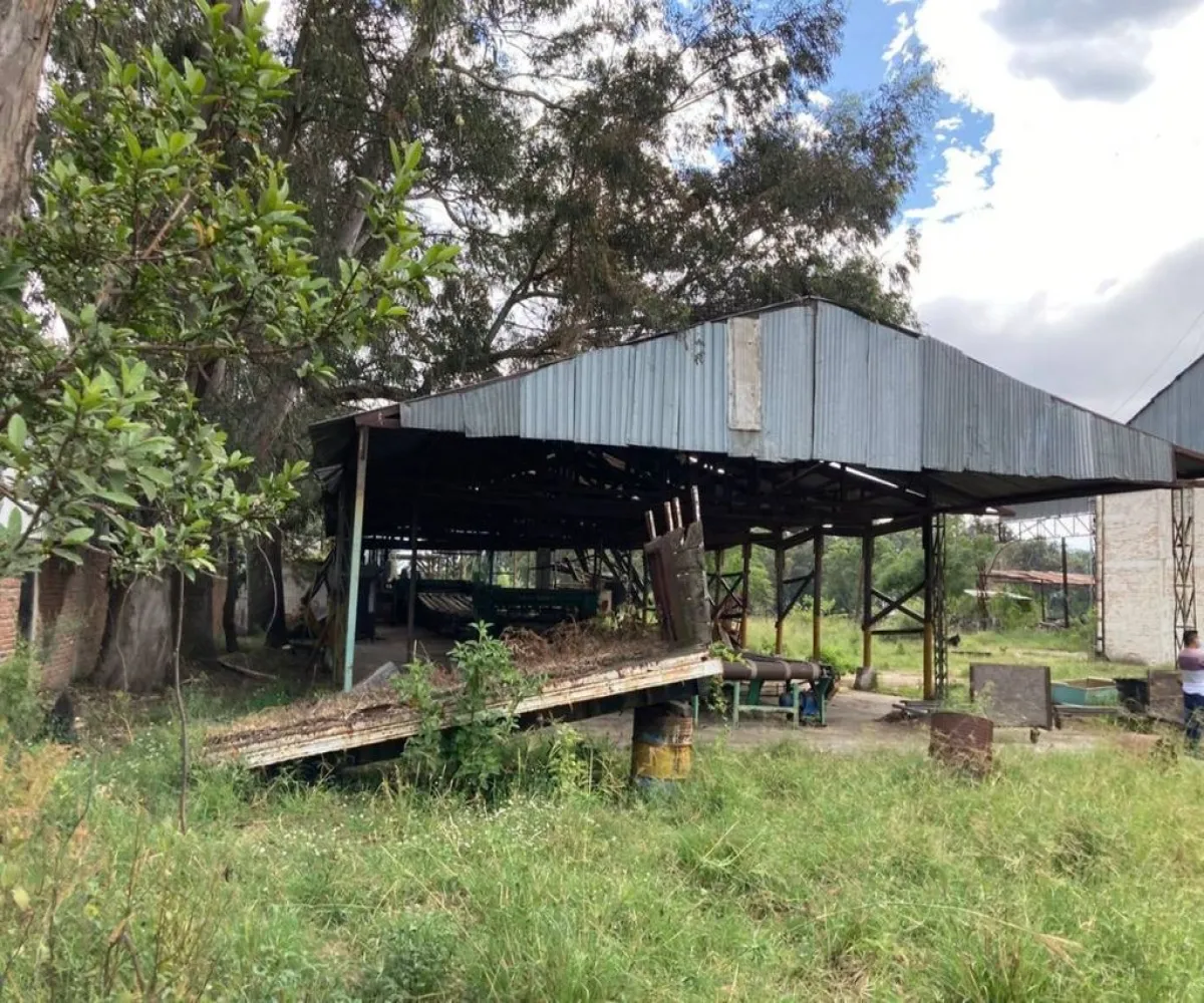 Terreno En Renta,Central Ciudad Guzmán,Miguel de La Madrid Hurtado S/N, Zapotlán el Grande, Jalisco 49032,Miguel de La Madrid Hurtado,pfPES8k
