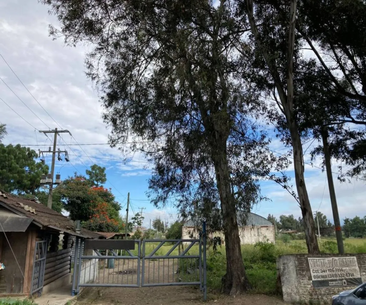 Terreno En Renta,Central Ciudad Guzmán,Miguel de La Madrid Hurtado S/N, Zapotlán el Grande, Jalisco 49032,Miguel de La Madrid Hurtado,pfPES8k