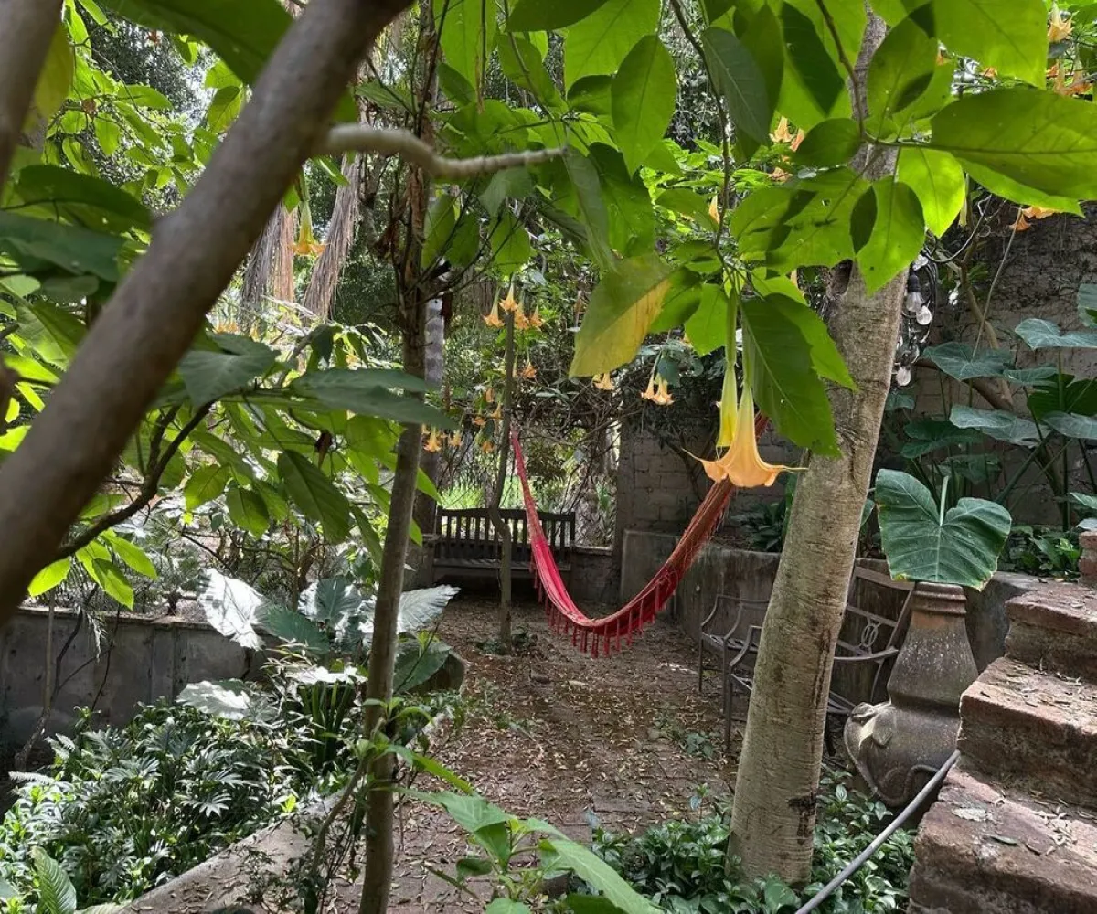 Casa En Venta,El Capullo,José Clemente Orozco 130, Zapopan, Jalisco 45150, 3 Habitaciones,3 Baños,José Clemente Orozco,1,pTnlE9U