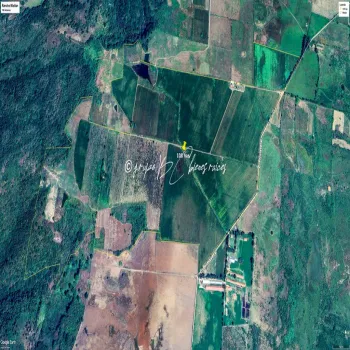 Terreno En Venta,Primavera S/N, Mixtlán, Jalisco 46850, 4 Habitaciones,1 Baño,Primavera,1,pzsIQlT