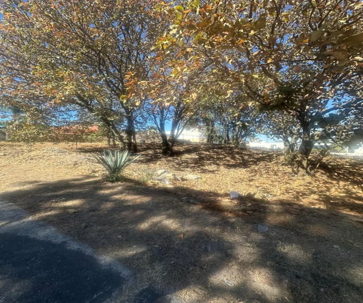 Terreno En Venta,Bugambilias,Boulevard Bugambilias 4460, Zapopan, Jalisco 45237,Boulevard Bugambilias,peTJEb7