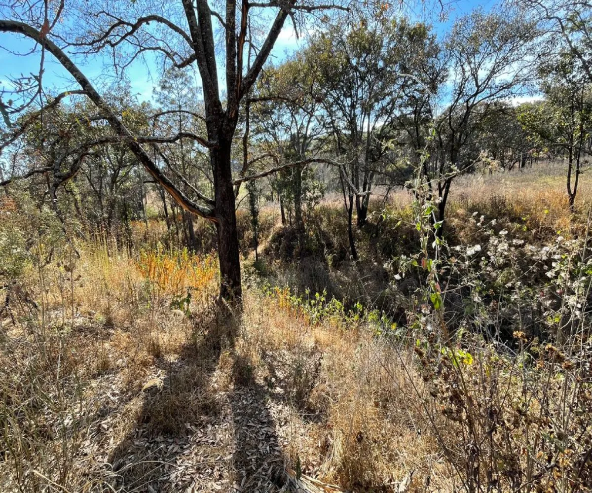 Terreno En Venta,ejido epenche ,epenche sn 49514, Mazamitla, Jalisco 49514,epenche ,pgHDoLC