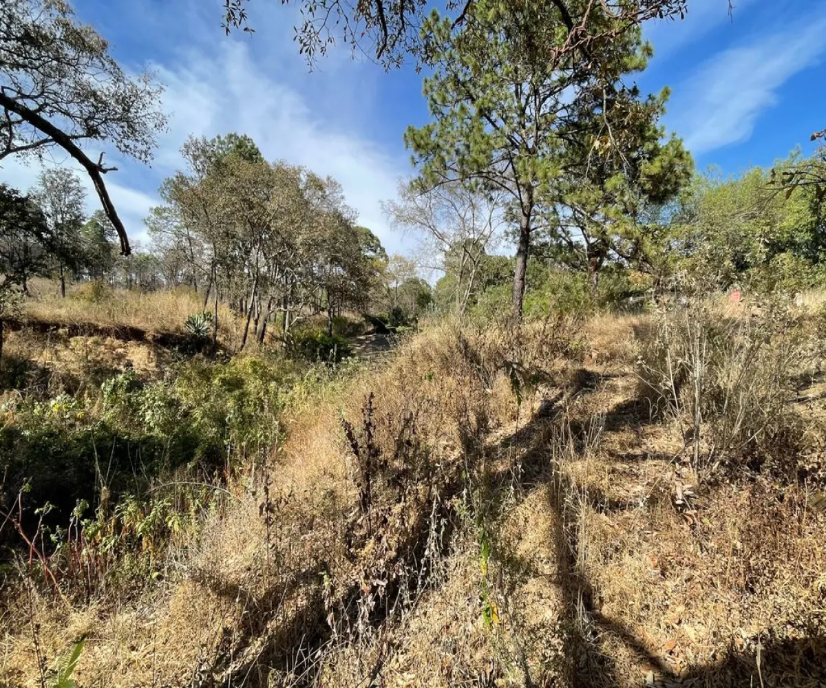 Terreno En Venta,ejido epenche ,epenche sn 49514, Mazamitla, Jalisco 49514,epenche ,pgHDoLC