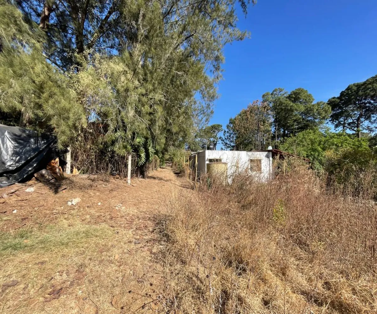 Terreno En Venta,ejido epenche ,epenche sn 49514, Mazamitla, Jalisco 49514,epenche ,pgHDoLC