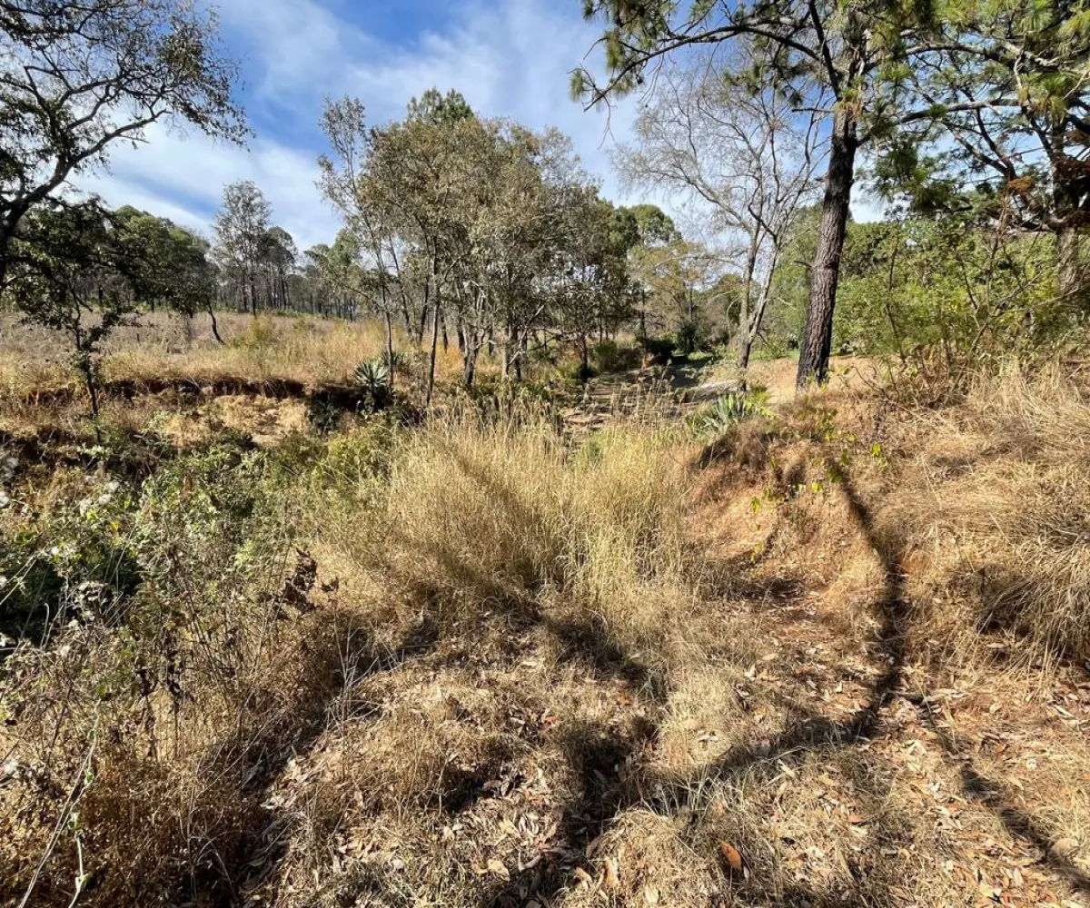 Terreno En Venta,ejido epenche ,epenche sn 49514, Mazamitla, Jalisco 49514,epenche ,pgHDoLC