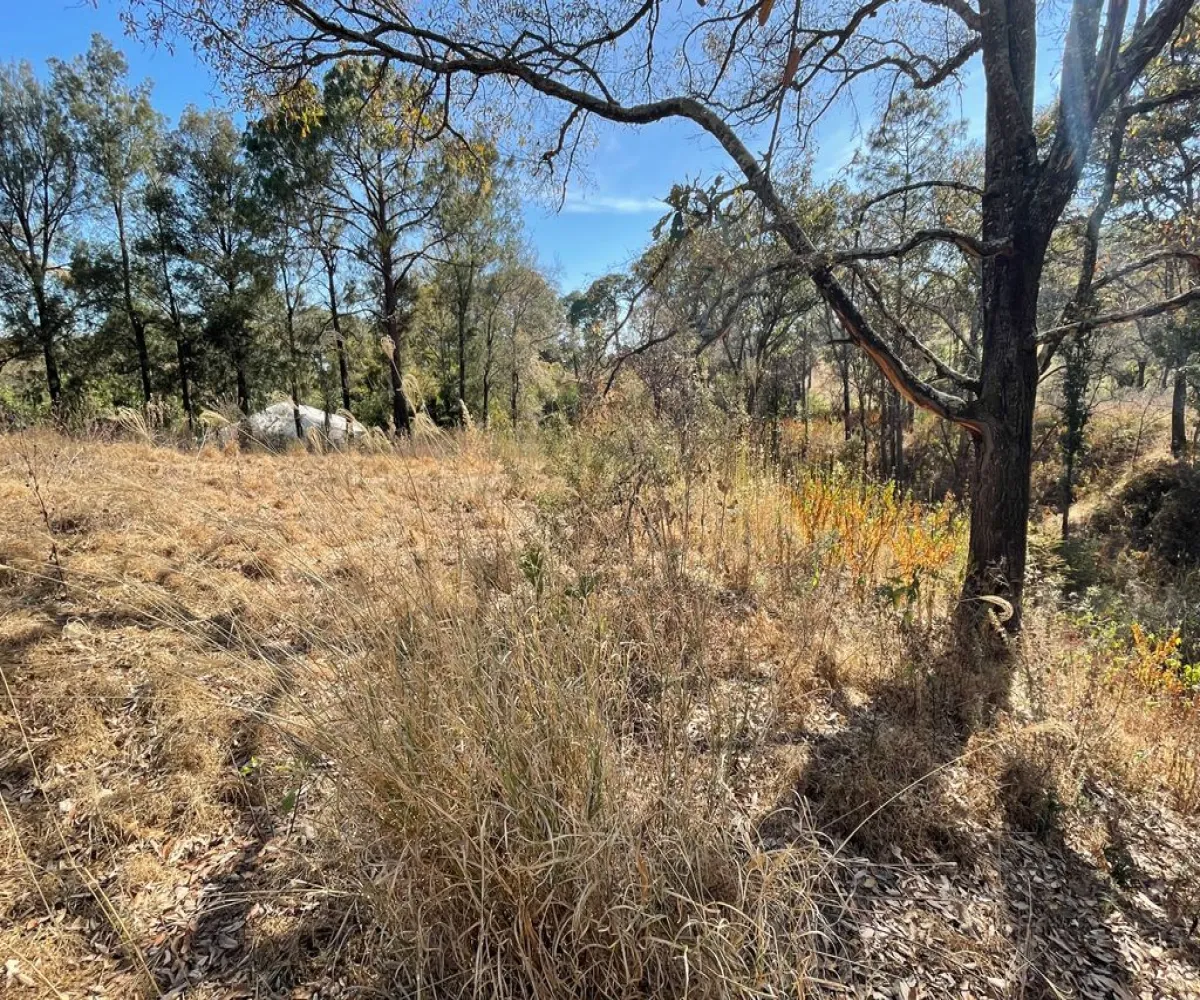 Terreno En Venta,ejido epenche ,epenche sn 49514, Mazamitla, Jalisco 49514,epenche ,pgHDoLC