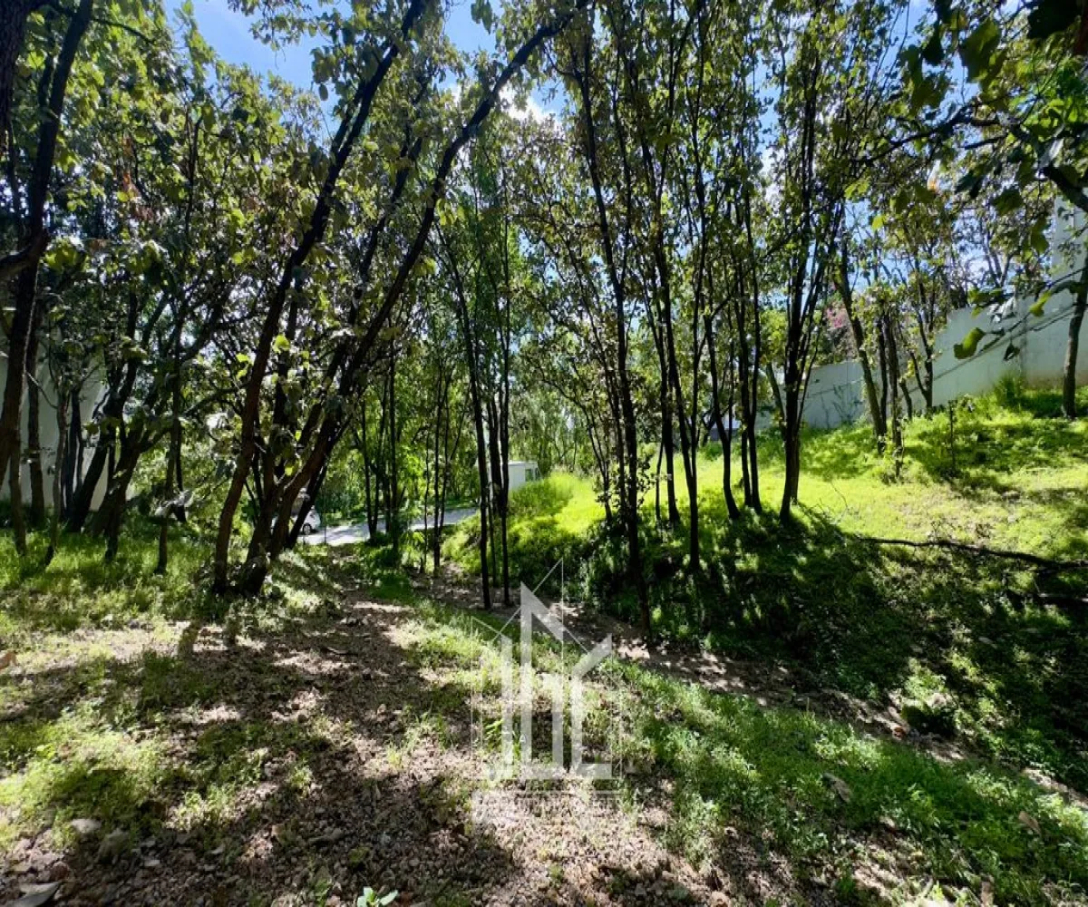 Terreno En Venta,Ciudad Bugambilias,Paseo de Las Gacelas S/N, Zapopan, Jalisco 45237,Paseo de Las Gacelas,pRJdfiZ