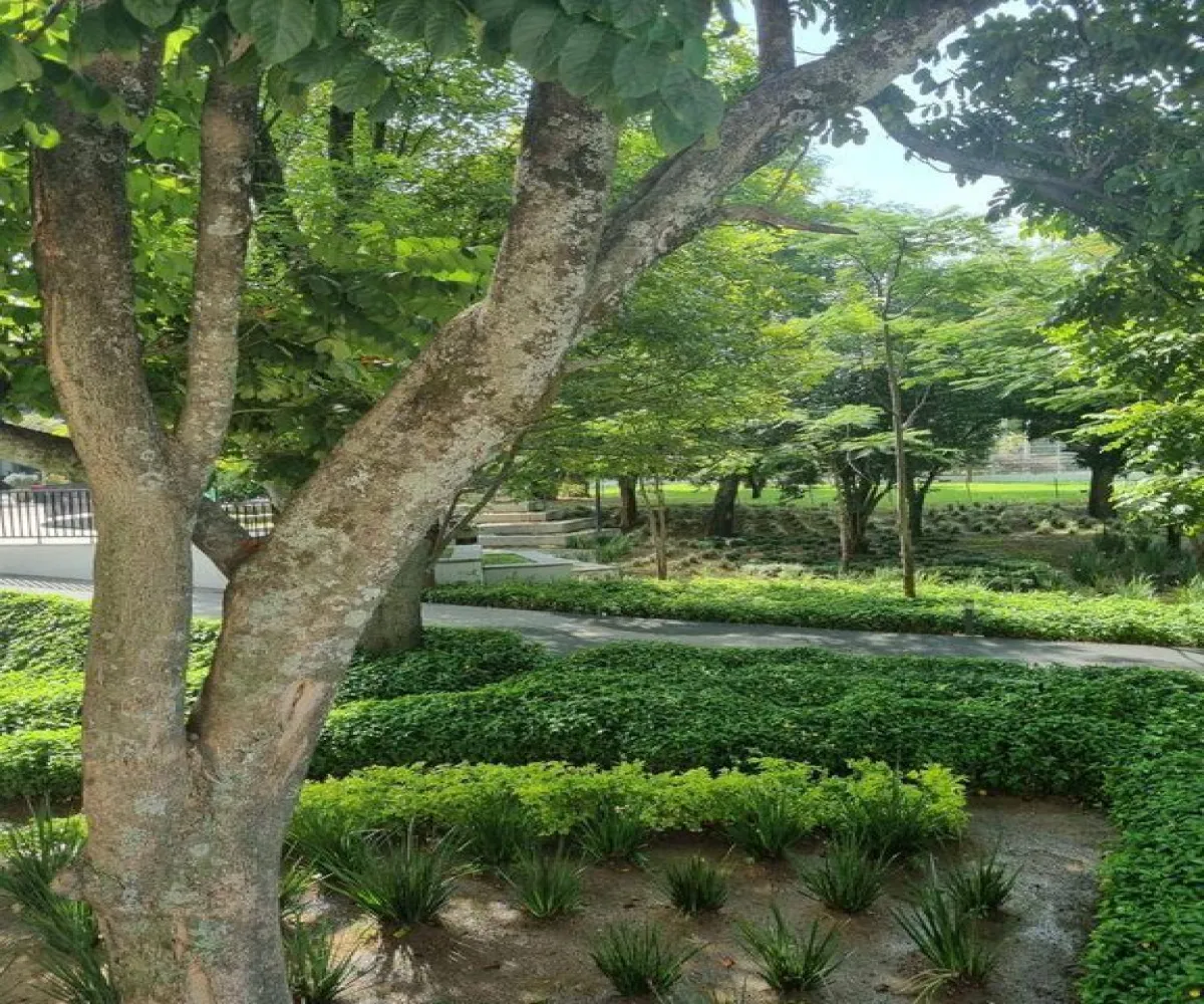 Departamento En Venta,Jardines de Los Poetas,Avenida Historiadores 3155, Guadalajara, Jalisco 44820, 3 Habitaciones,2 Baños,Avenida Historiadores,1,pl8CJ65