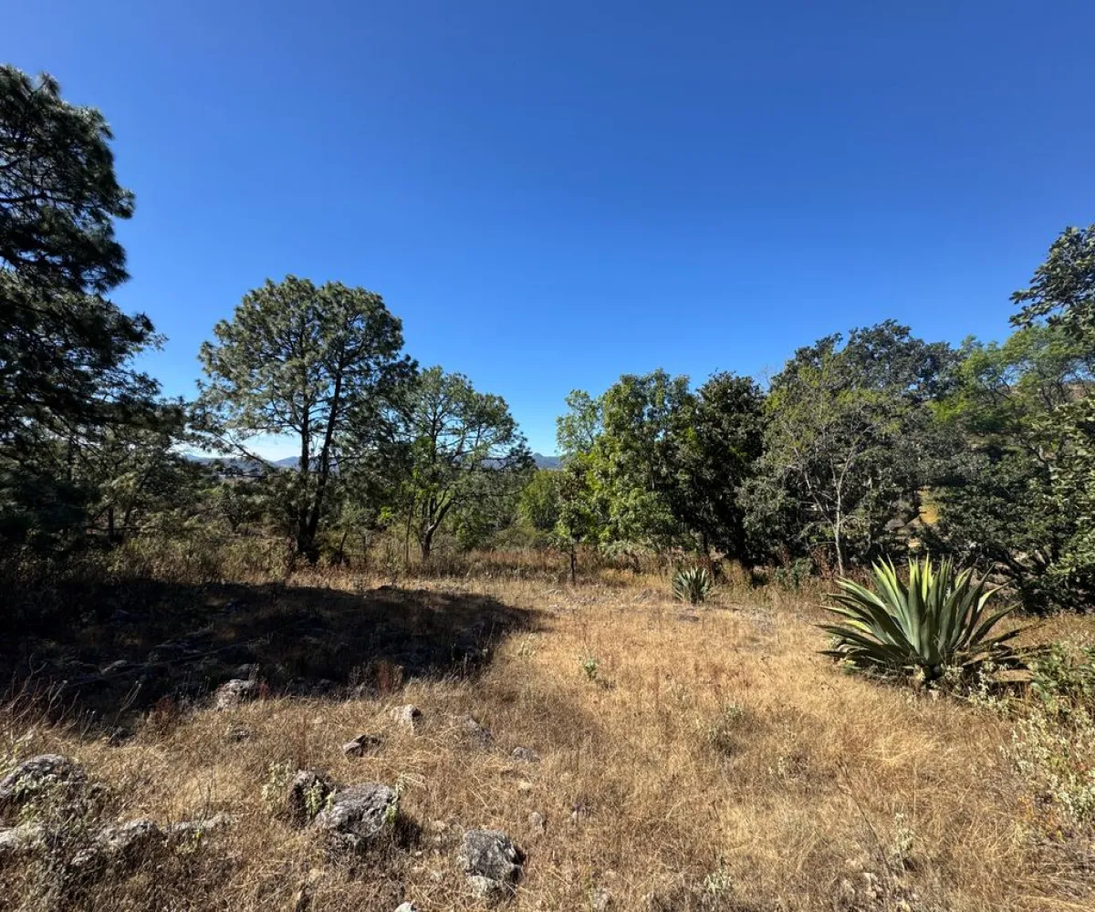 Terreno En Venta,Sin Nombre,Zaragoza 00, Tapalpa, Jalisco 49340,Zaragoza,pbF16ZR