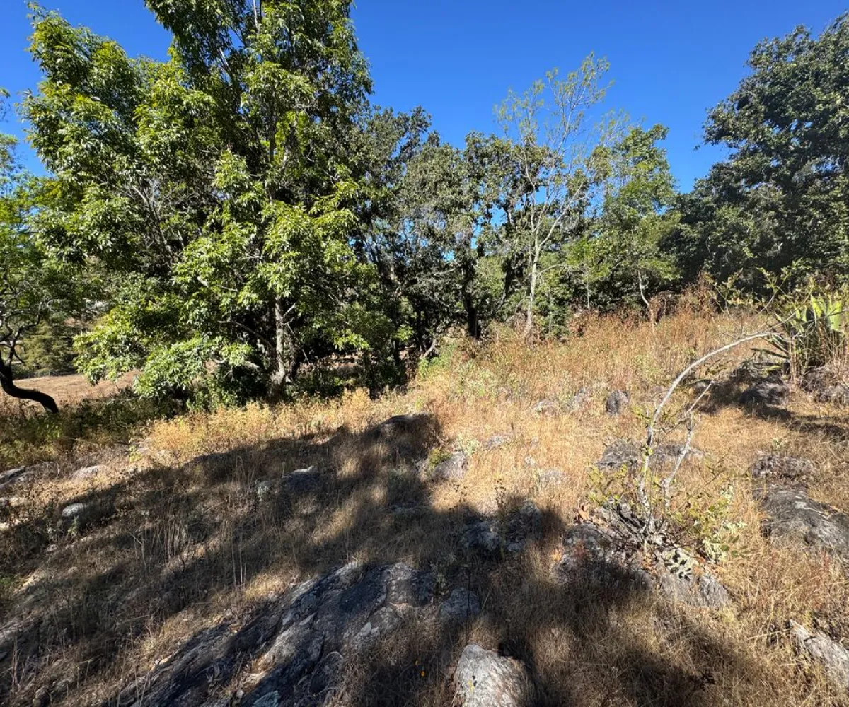 Terreno En Venta,Sin Nombre,Zaragoza 00, Tapalpa, Jalisco 49340,Zaragoza,pbF16ZR