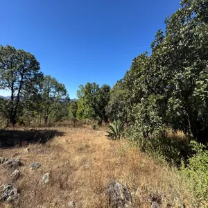 Terreno En Venta,Sin Nombre,Zaragoza 00, Tapalpa, Jalisco 49340,Zaragoza,pbF16ZR