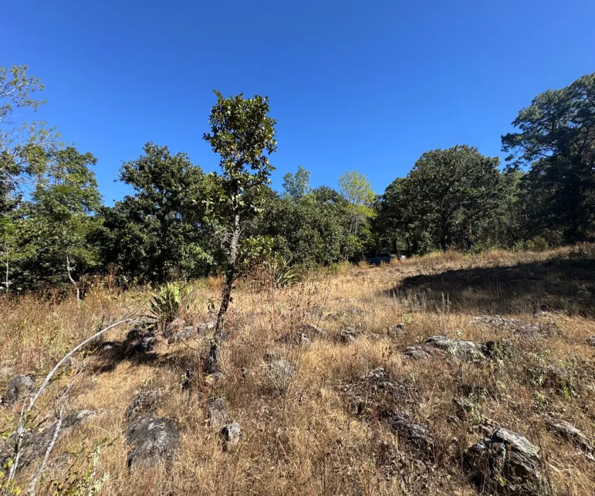 Terreno En Venta,Sin Nombre,Zaragoza 00, Tapalpa, Jalisco 49340,Zaragoza,pbF16ZR