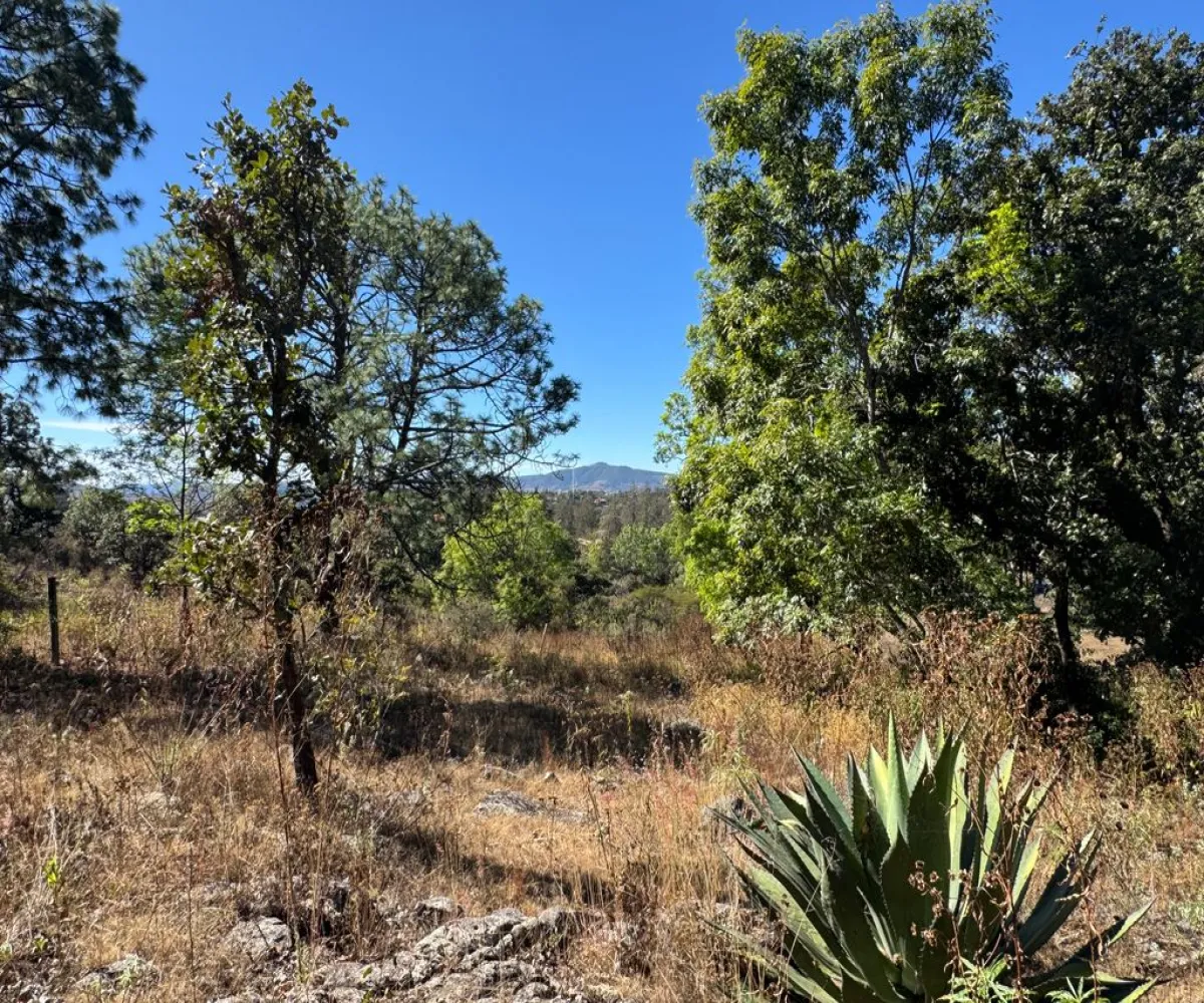 Terreno En Venta,Sin Nombre,Zaragoza 00, Tapalpa, Jalisco 49340,Zaragoza,pbF16ZR