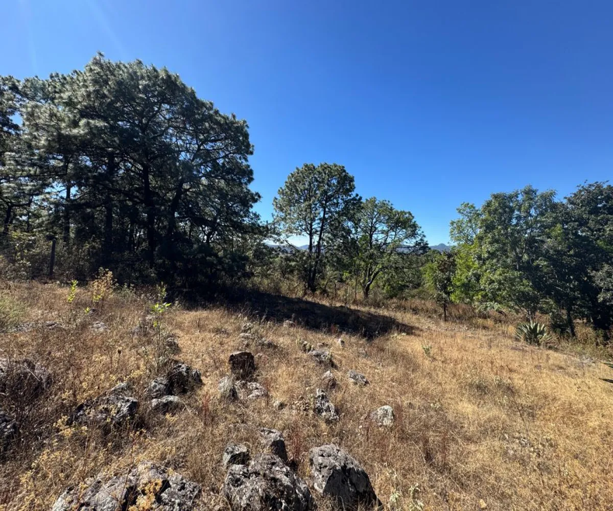 Terreno En Venta,Sin Nombre,Zaragoza 00, Tapalpa, Jalisco 49340,Zaragoza,pbF16ZR