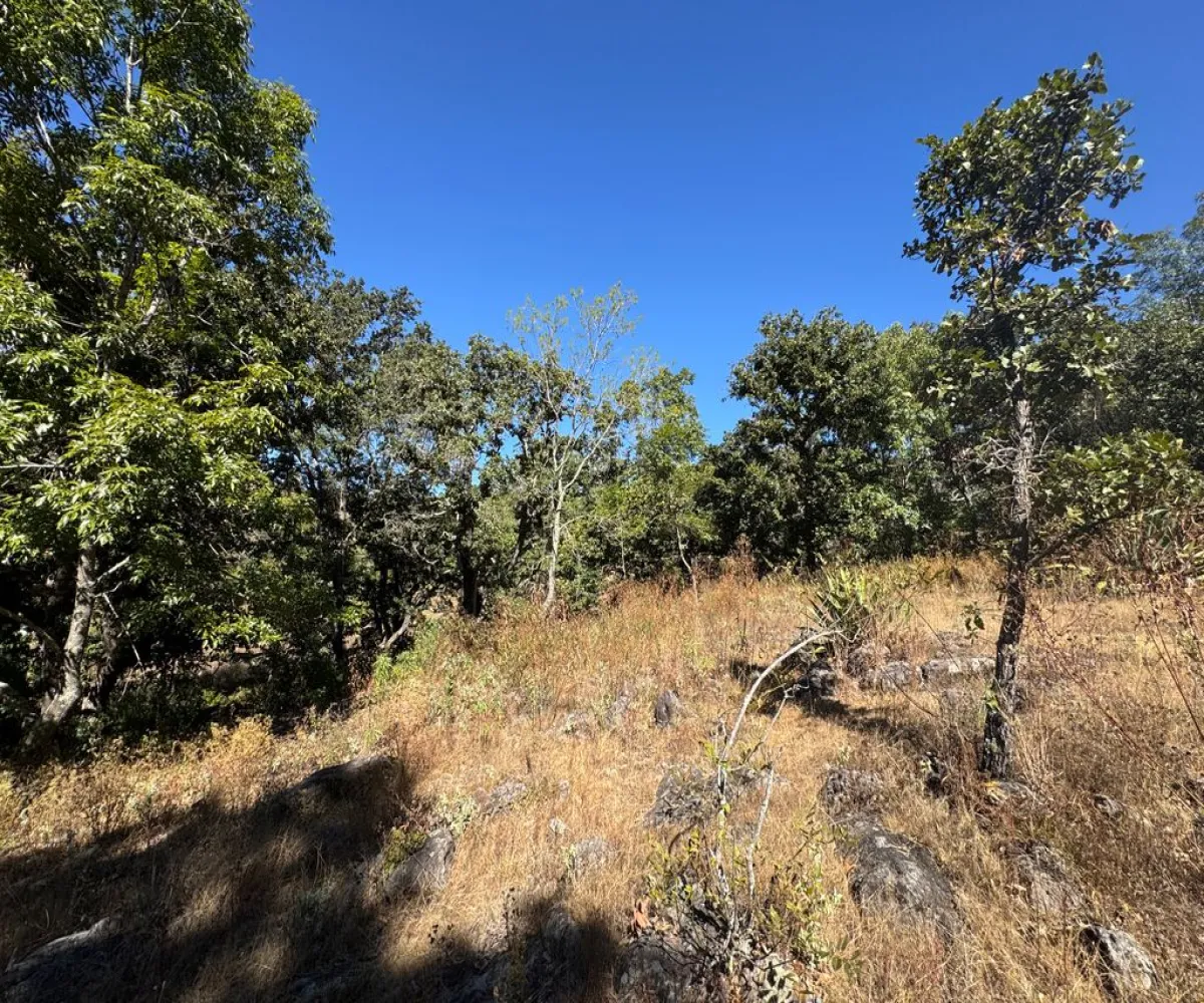 Terreno En Venta,Sin Nombre,Zaragoza 00, Tapalpa, Jalisco 49340,Zaragoza,pbF16ZR