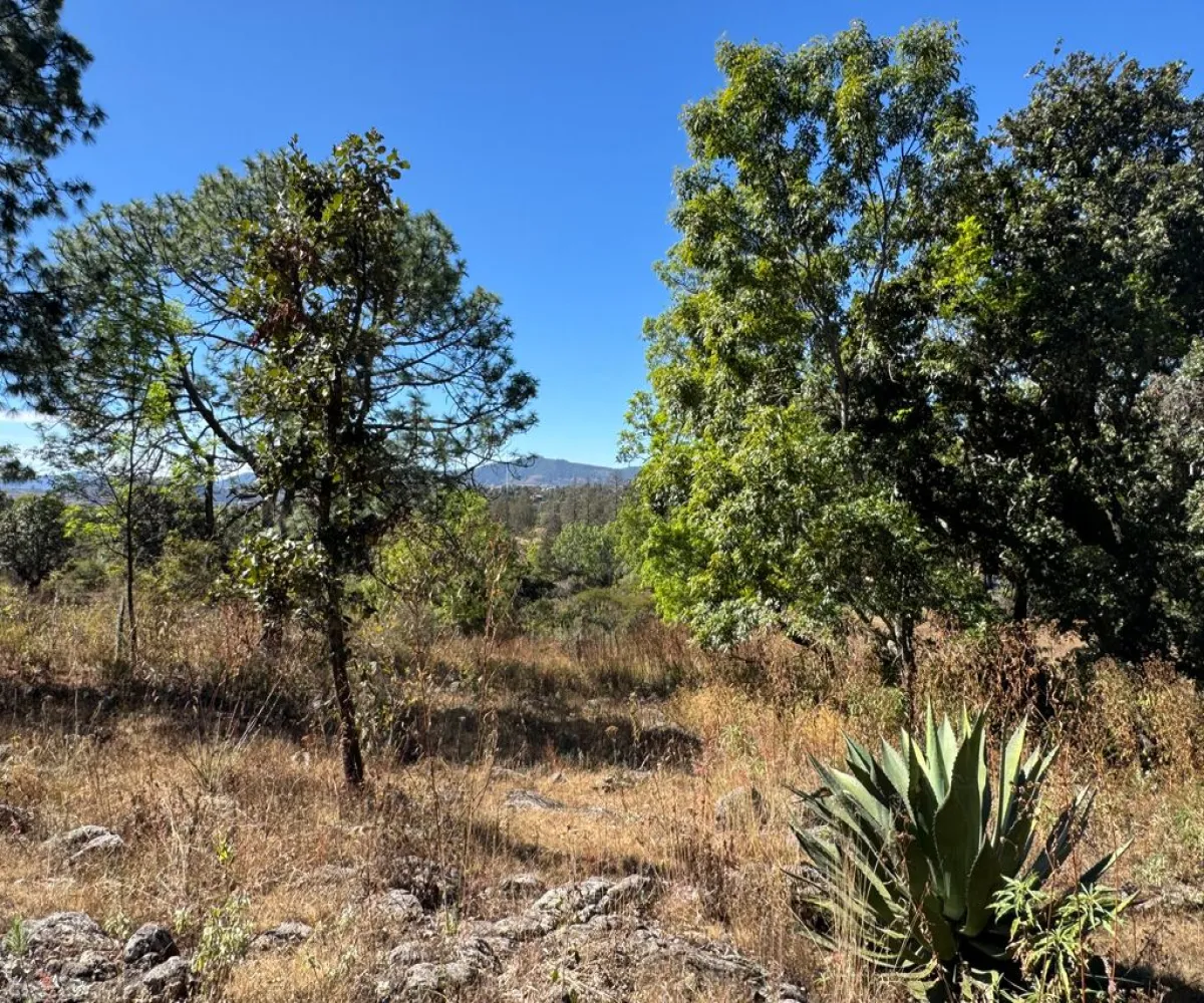 Terreno En Venta,Sin Nombre,Zaragoza 00, Tapalpa, Jalisco 49340,Zaragoza,pbF16ZR