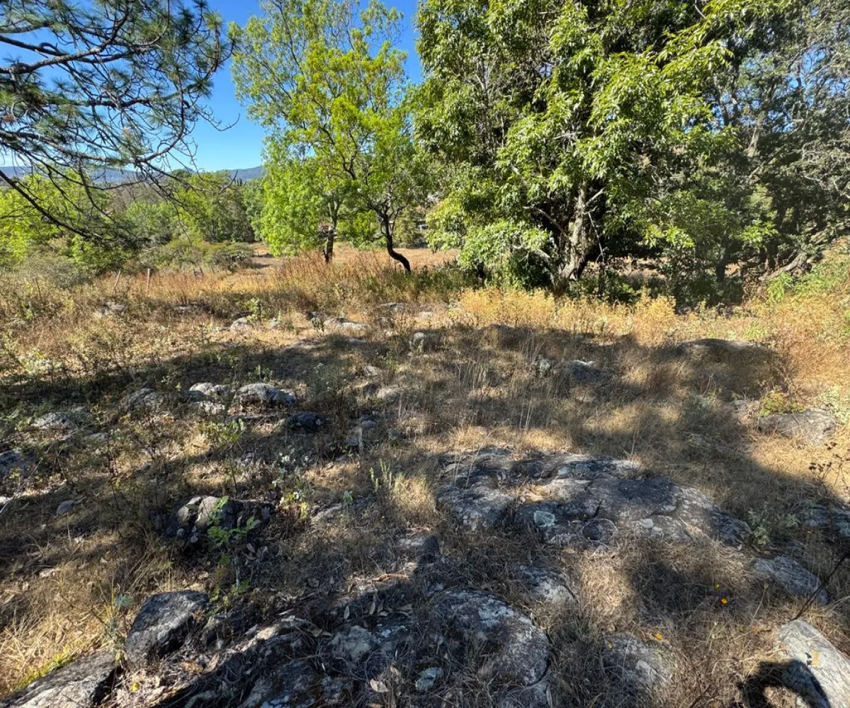 Terreno En Venta,Sin Nombre,Zaragoza 00, Tapalpa, Jalisco 49340,Zaragoza,pbF16ZR