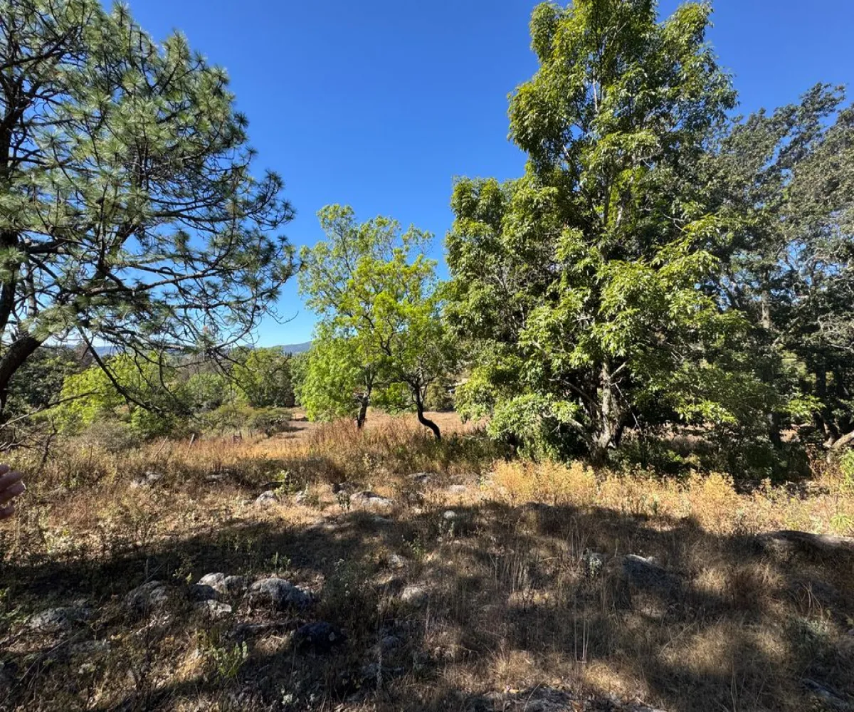 Terreno En Venta,Sin Nombre,Zaragoza 00, Tapalpa, Jalisco 49340,Zaragoza,pbF16ZR