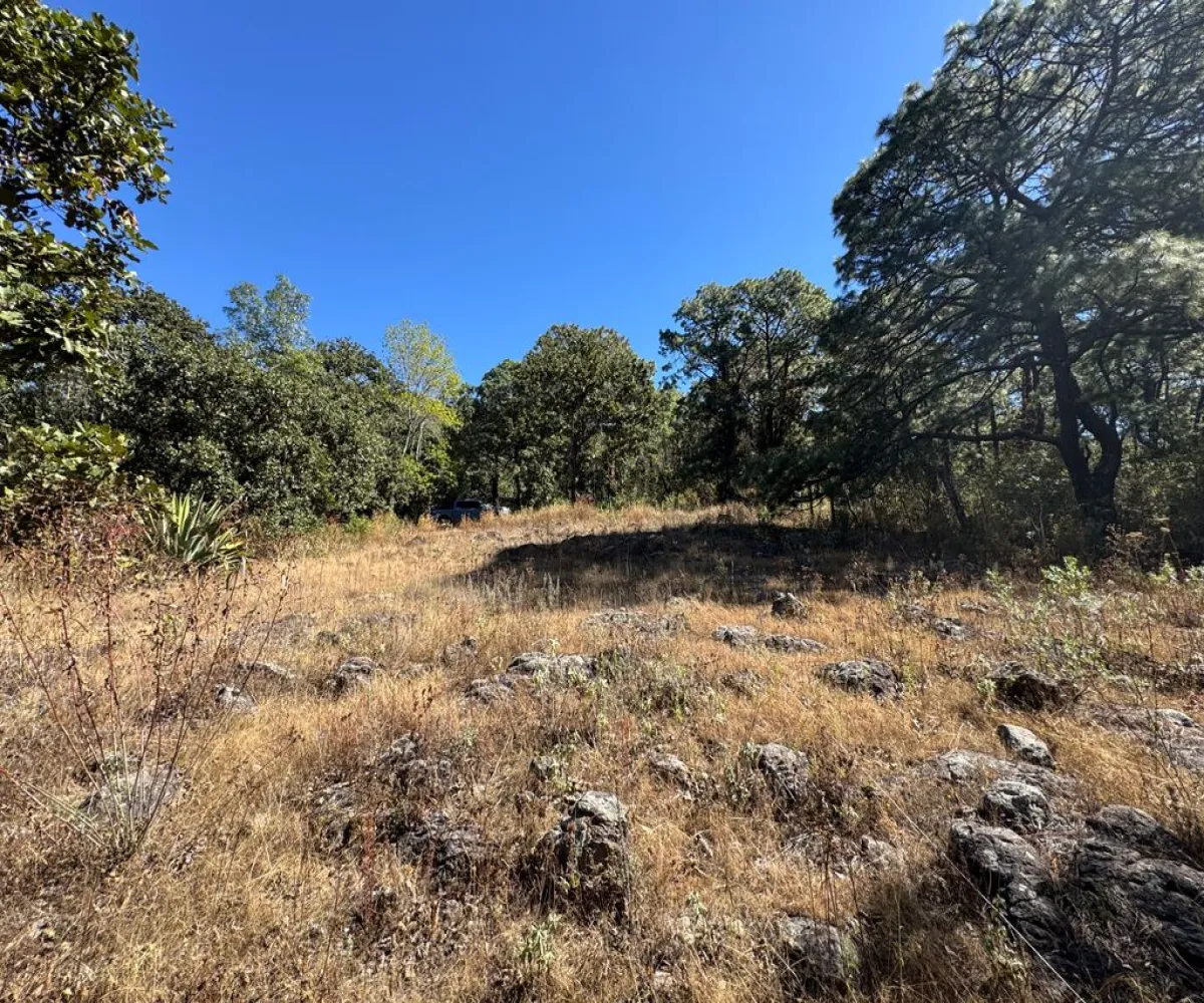 Terreno En Venta,Sin Nombre,Zaragoza 00, Tapalpa, Jalisco 49340,Zaragoza,pbF16ZR