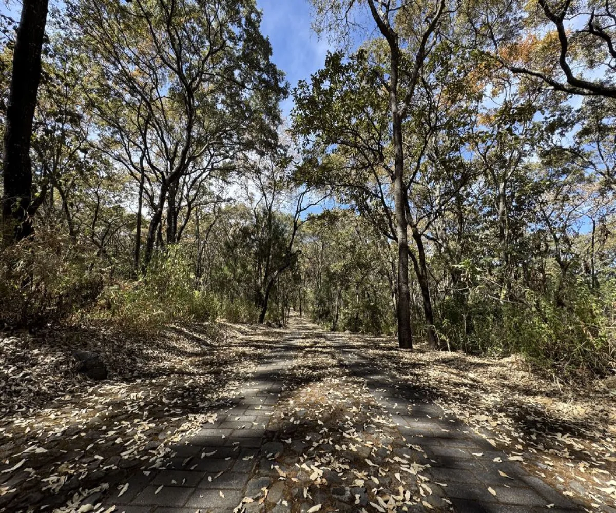 Terreno En Venta,Reserva de los Encinos,Reserva de los Encinos 00, El Arenal, Jalisco 45350,Reserva de los Encinos,pvhKB5T
