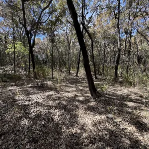 Terreno En Venta,Reserva de los Encinos,Reserva de los Encinos 00, El Arenal, Jalisco 45350,Reserva de los Encinos,pvhKB5T