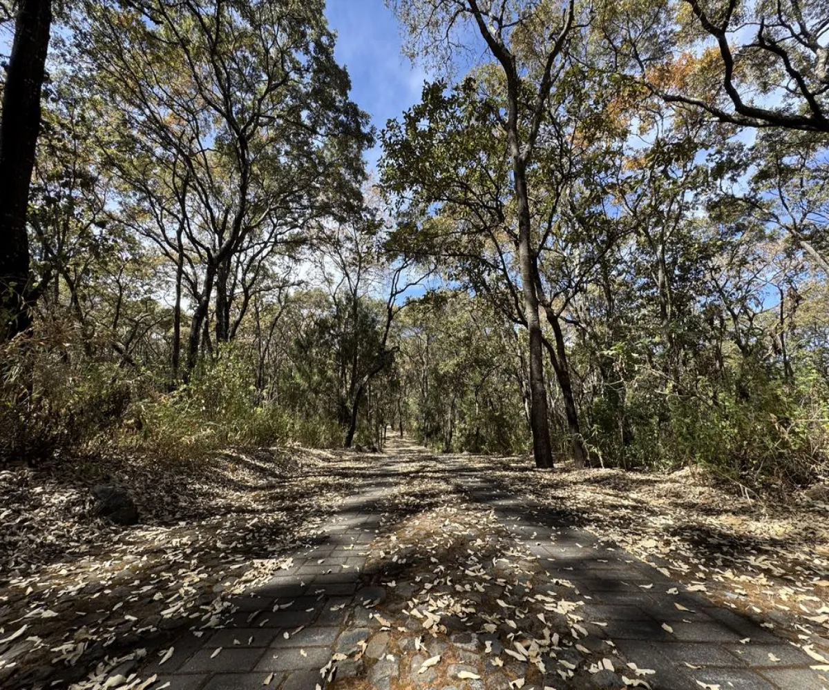 Terreno En Venta,Reserva de los Encinos,Reserva de los Encinos 00, El Arenal, Jalisco 45350,Reserva de los Encinos,pvhKB5T
