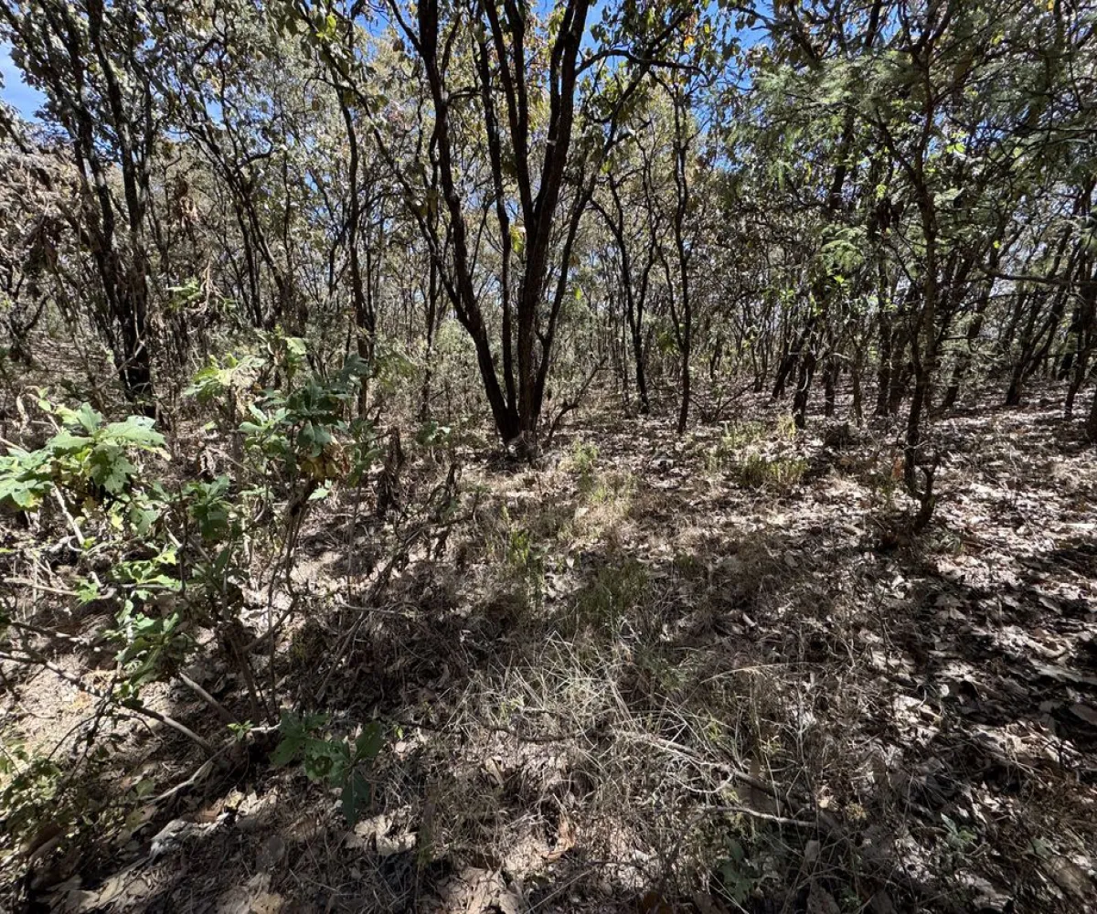 Terreno En Venta,Reserva de los Encinos,Reserva de los Encinos 00, El Arenal, Jalisco 45350,Reserva de los Encinos,pvhKB5T