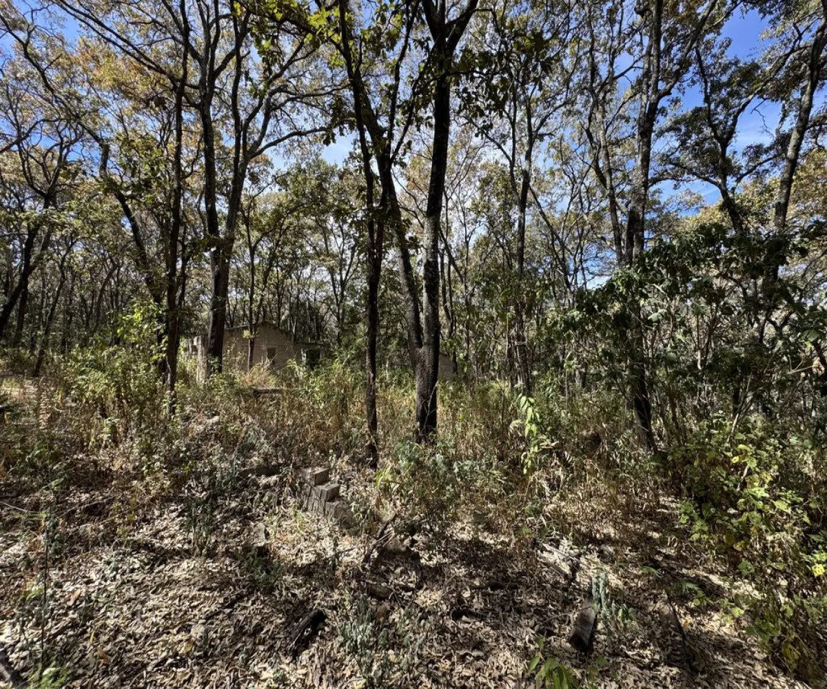 Terreno En Venta,Reserva de los Encinos,Reserva de los Encinos 00, El Arenal, Jalisco 45350,Reserva de los Encinos,pvhKB5T