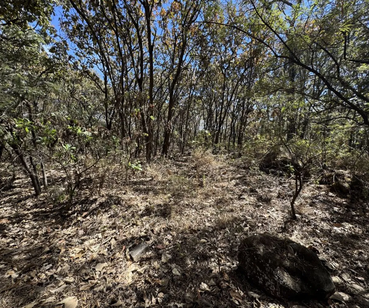 Terreno En Venta,Reserva de los Encinos,Reserva de los Encinos 00, El Arenal, Jalisco 45350,Reserva de los Encinos,pvhKB5T