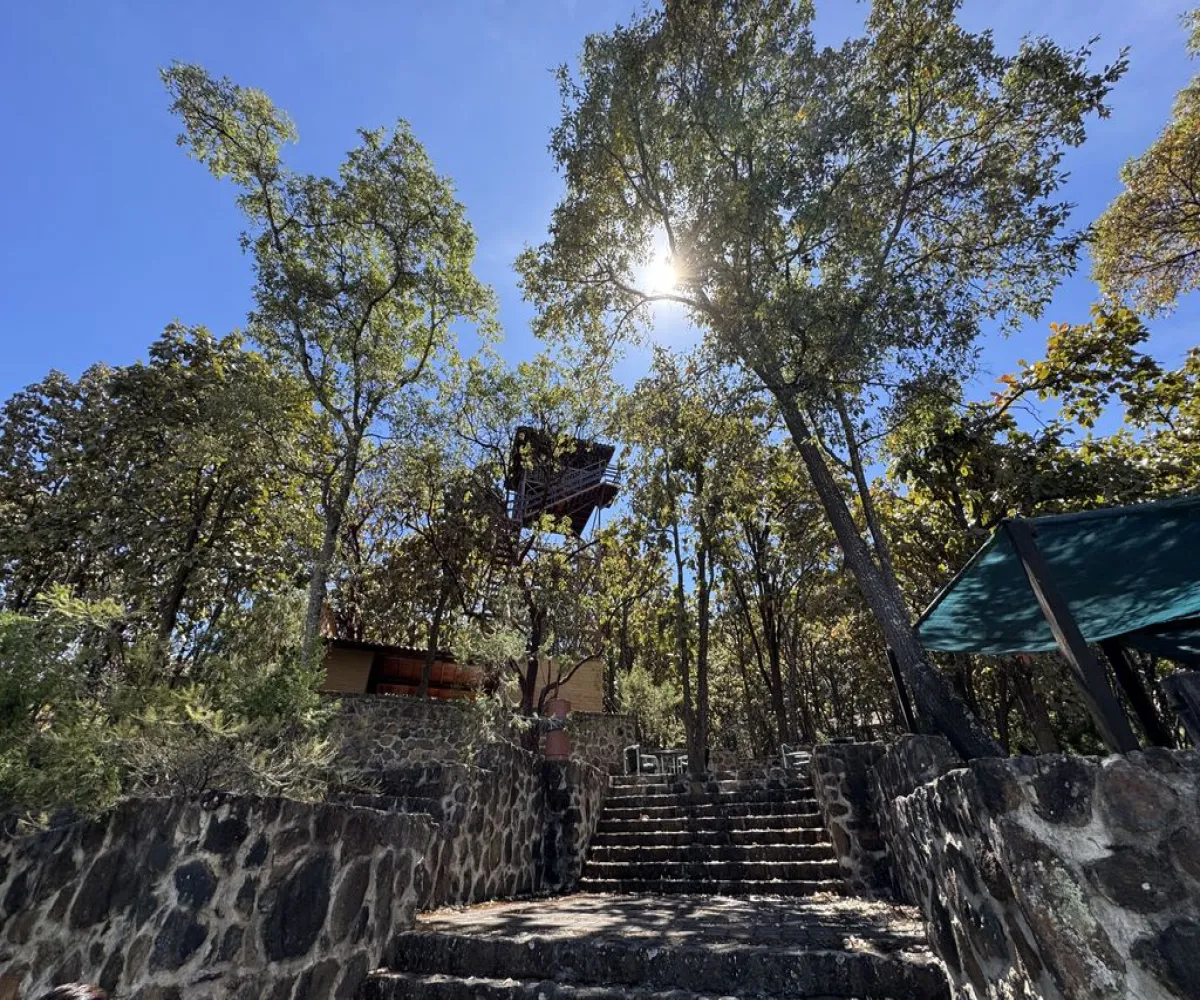 Terreno En Venta,Reserva de los Encinos,Reserva de los Encinos 00, El Arenal, Jalisco 45350,Reserva de los Encinos,pvhKB5T