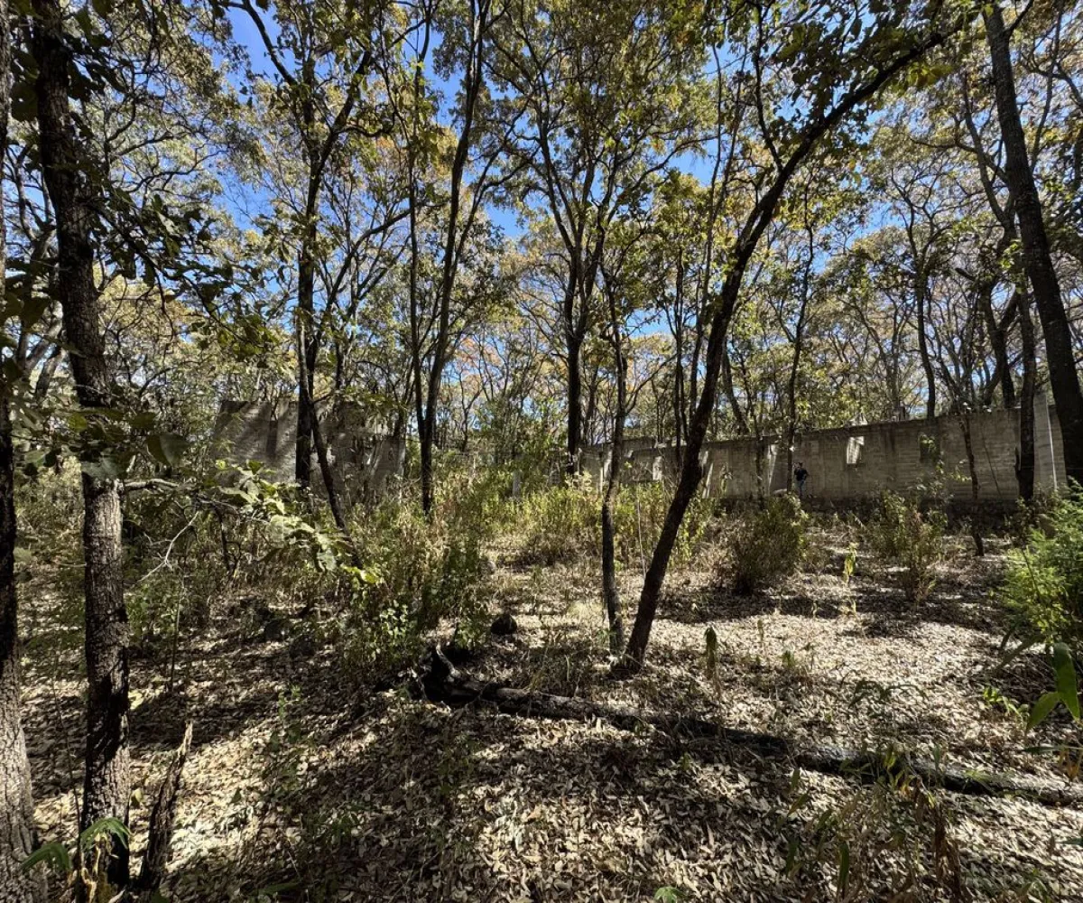 Terreno En Venta,Reserva de los Encinos,Reserva de los Encinos 00, El Arenal, Jalisco 45350,Reserva de los Encinos,pvhKB5T