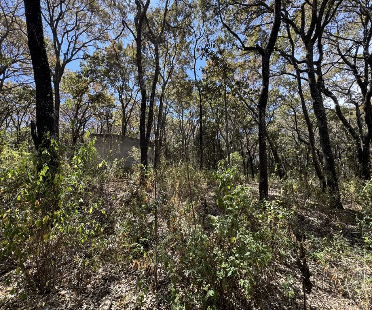 Terreno En Venta,Reserva de los Encinos,Reserva de los Encinos 00, El Arenal, Jalisco 45350,Reserva de los Encinos,pvhKB5T