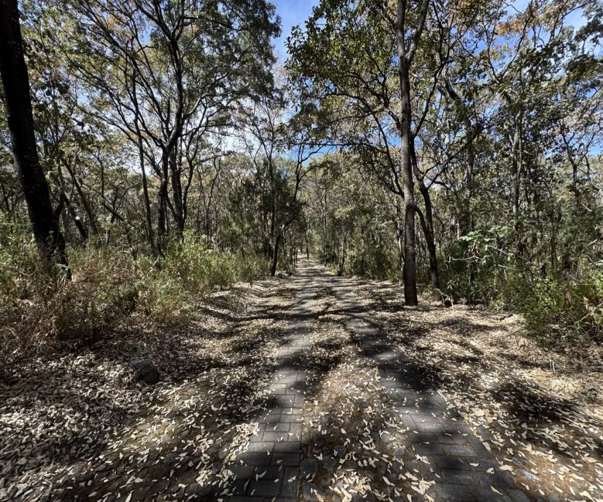 Terreno En Venta,Reserva de los Encinos,Reserva de los Encinos 00, El Arenal, Jalisco 45350,Reserva de los Encinos,pvhKB5T
