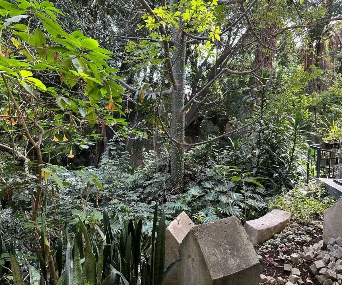 Casa En Venta,Seattle,José Clemente Orozco 130, Zapopan, Jalisco 45150, 3 Habitaciones,4 Baños,José Clemente Orozco,1,pTmtzNc