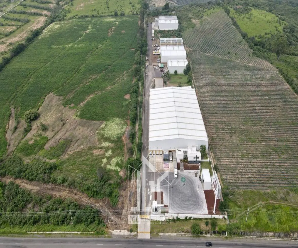 Bodega En PreVenta,San Isidro Mazatepec,Carretera (Circuito metropolitano) km 15.3 S/N, Tala, Jalisco 45335,Carretera (Circuito metropolitano) km 15.3,1,paOW9y8