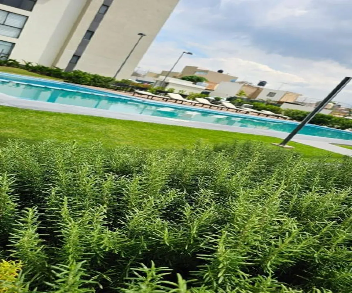 Departamento En Venta,Margarita Maza de Juárez,Avenida Belisario Domínguez 3500 106, Guadalajara, Jalisco 44300, 2 Habitaciones,2 Baños,Avenida Belisario Domínguez,1,p7uyAr4