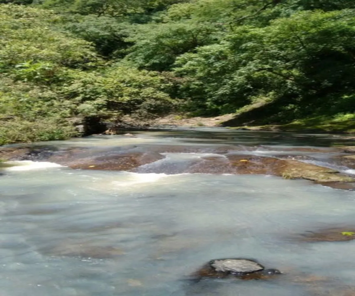 Casa En Venta,SANTA LUCIA S/N, Zumpango, México 45200, 7 Habitaciones,6 Baños,SANTA LUCIA ,1,p2NWEHq