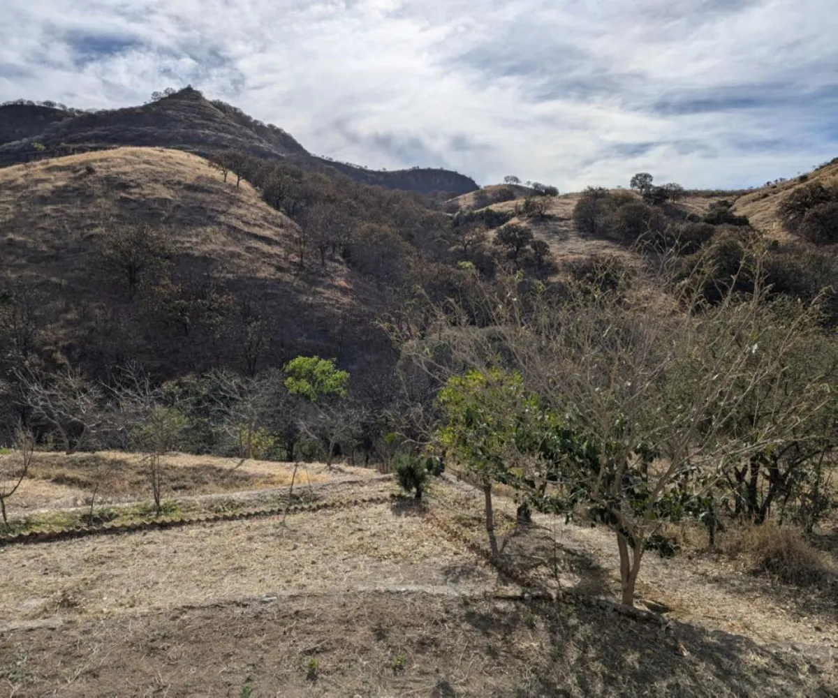 Casa En Venta,SANTA LUCIA S/N, Zumpango, México 45200, 7 Habitaciones,6 Baños,SANTA LUCIA ,1,p2NWEHq