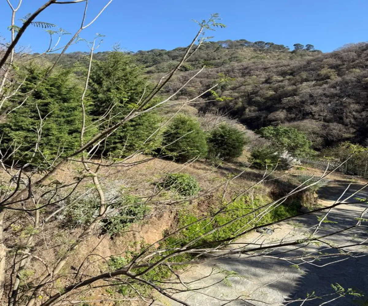 Casa En Venta,Arboledas,Cedros 12, Zapotlán el Grande, Jalisco 49066, 3 Habitaciones,4 Baños,Cedros,1,pGLCpIt