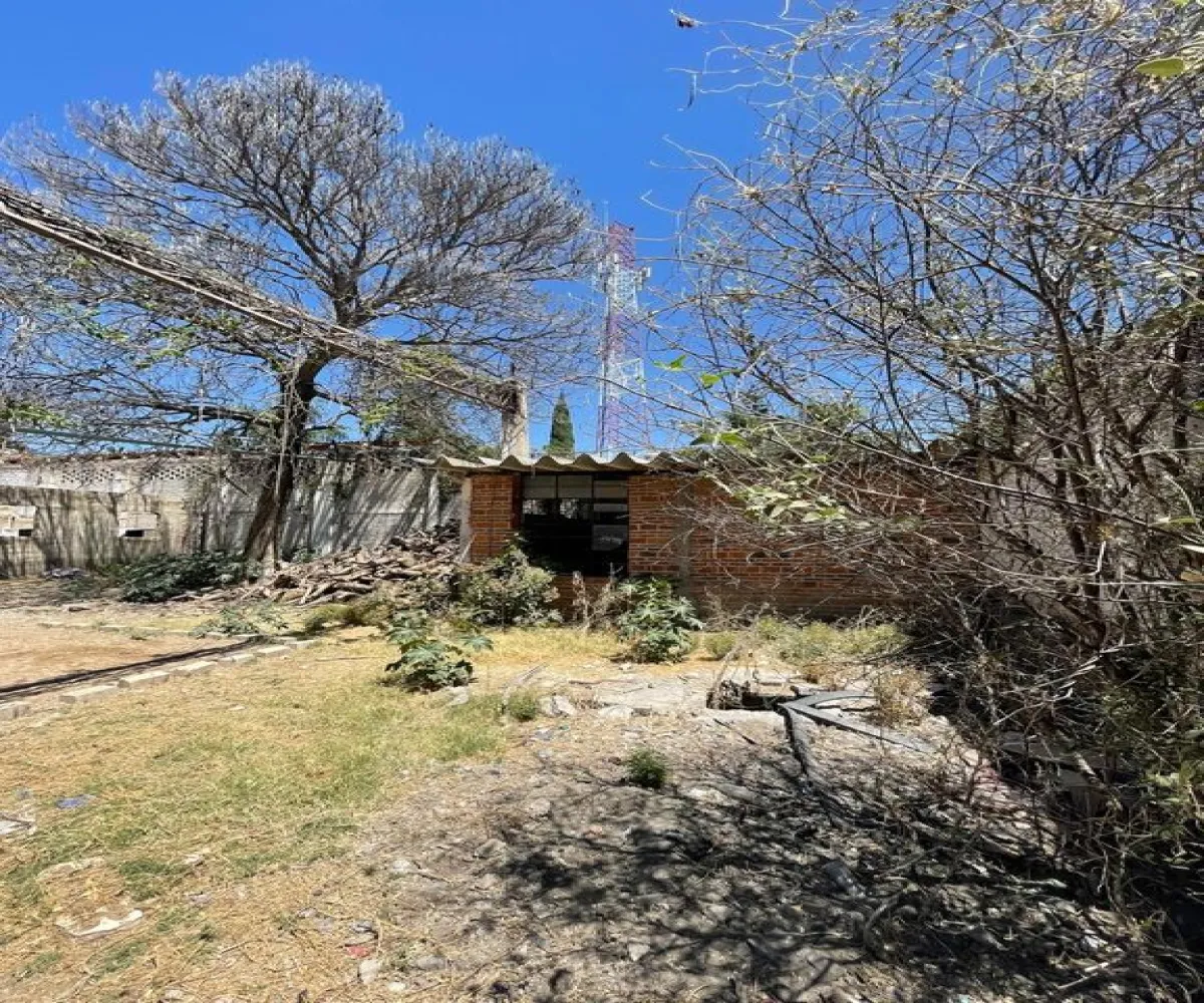 Terreno En Venta,Las Redes,Calle Profesor Teófilo Silva Padre 50, Chapala, Jalisco 45900,Calle Profesor Teófilo Silva Padre,ptHwHDe