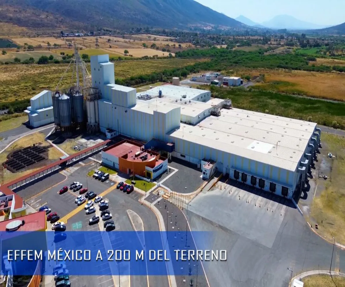 Terreno En Venta,Carretera Guadalajara Ocotlan S/N, Poncitlán, Jalisco 45954,Carretera Guadalajara Ocotlan,pPd1eLb