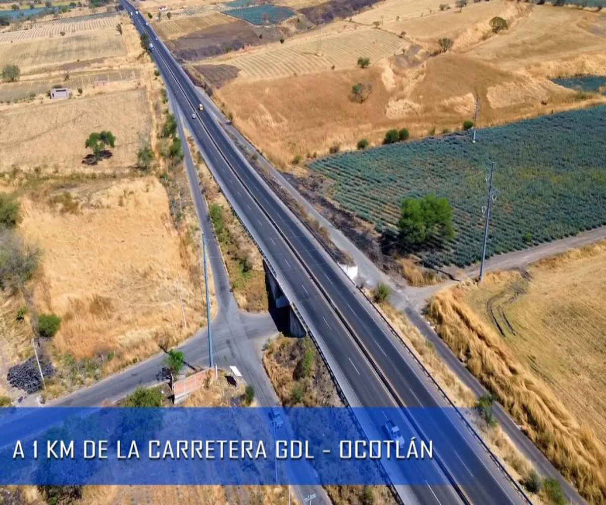 Terreno En Venta,Carretera Guadalajara Ocotlan S/N, Poncitlán, Jalisco 45954,Carretera Guadalajara Ocotlan,pPd1eLb