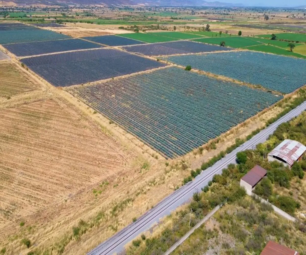 Terreno En Venta,Carretera Guadalajara Ocotlan S/N, Poncitlán, Jalisco 45954,Carretera Guadalajara Ocotlan,pPd1eLb