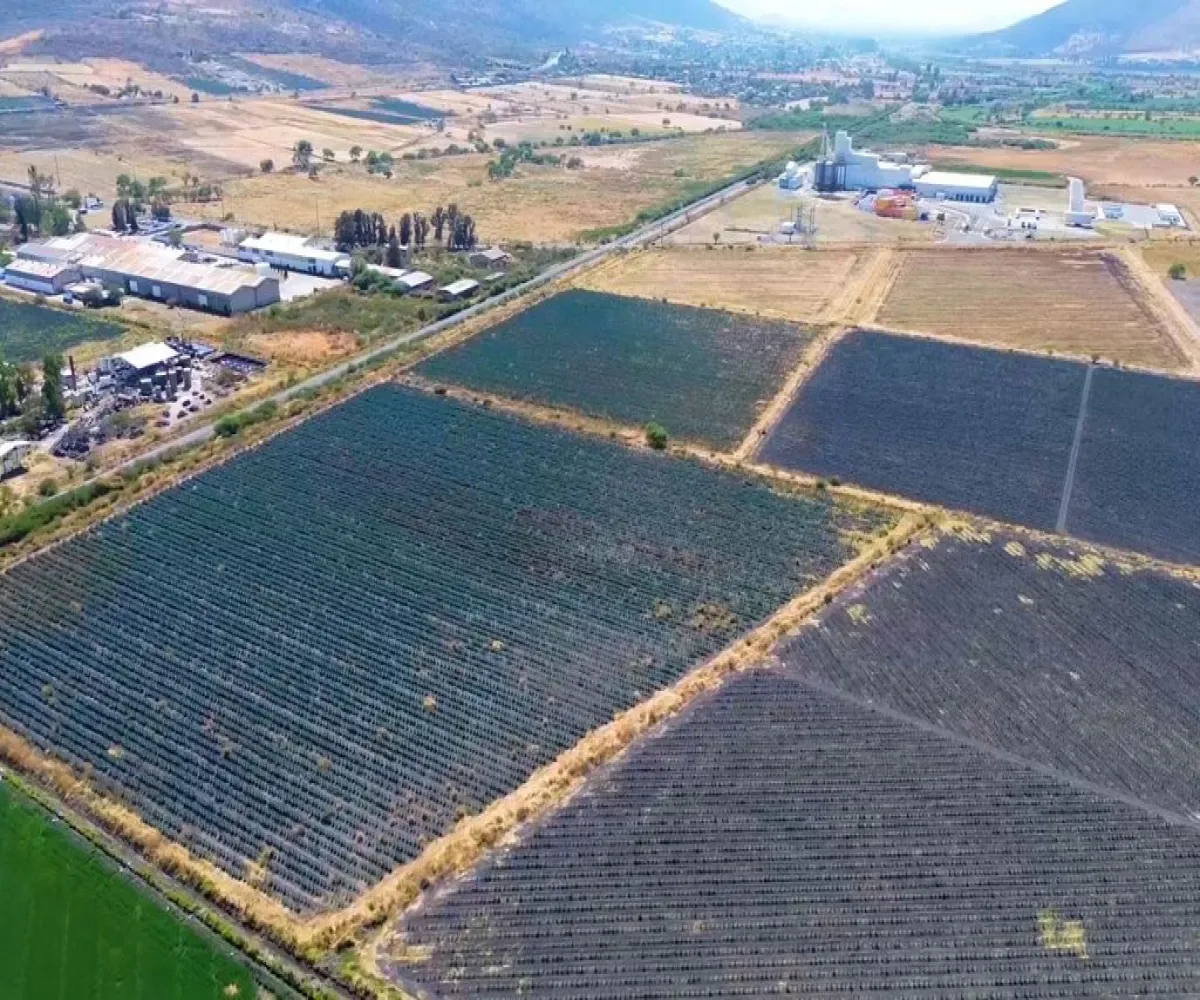 Terreno En Venta,Carretera Guadalajara Ocotlan S/N, Poncitlán, Jalisco 45954,Carretera Guadalajara Ocotlan,pPd1eLb