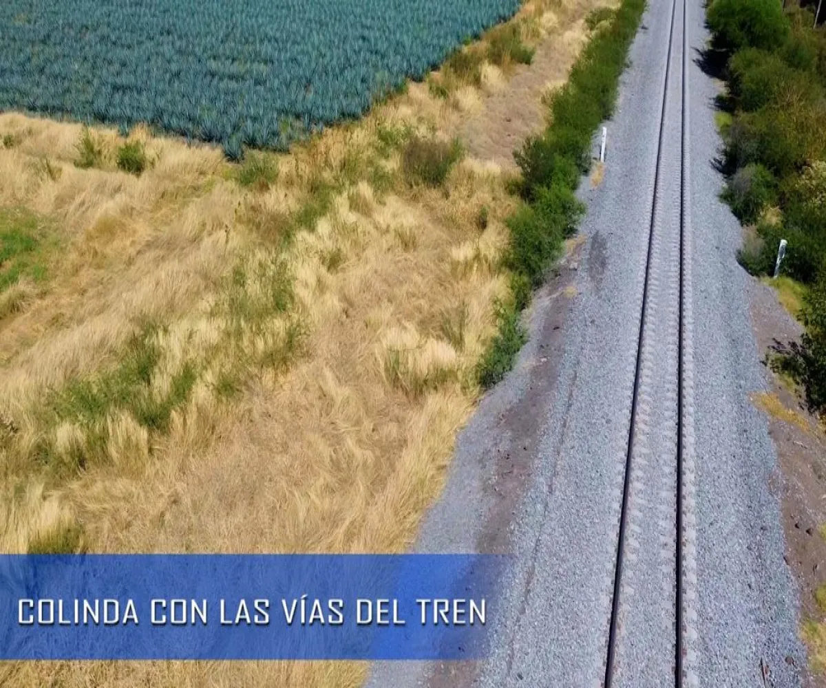 Terreno En Venta,Carretera Guadalajara Ocotlan S/N, Poncitlán, Jalisco 45954,Carretera Guadalajara Ocotlan,pPd1eLb